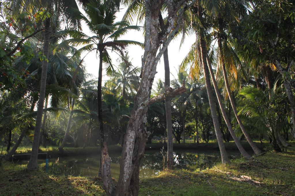 Chaisuk Bungalow Aranyaprathet Extérieur photo